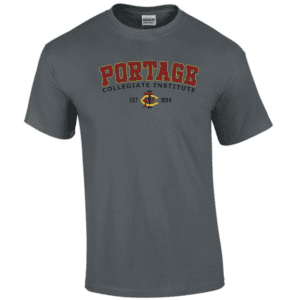 G200 Gildan Ultra Cotton T-Shirt - Charcoal
