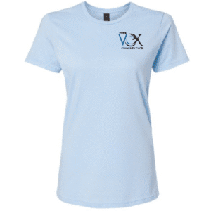 G64000L Gildan Women's Soft Style T-Shirt - Light Blue