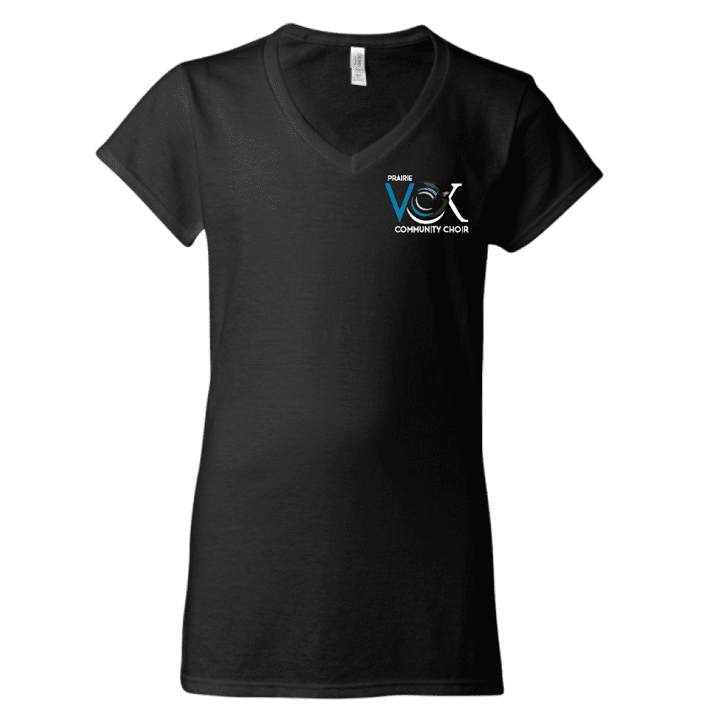 G64V00L Gildan Women's Soft Style V-Neck T-Shirt - Black